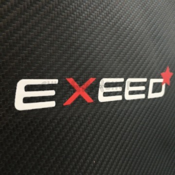 Защита спинки сидений для Exeed VX