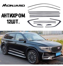 Накладки антихром для Monjaro